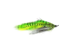 Hartwick's Tungsten Cyclops Leech By Aqua Flies -Perfect Fishing Shop 14130hartwicktungstencyclopsleech