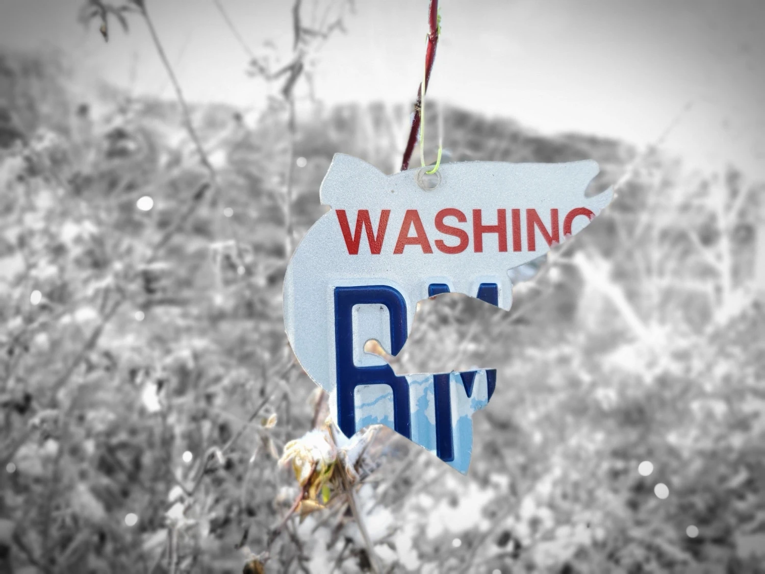 Christmas Tree Ornament // Washington State License Plate Fish Cutouts 3 Christmas Tree Ornament // Washington State License Plate Fish Cutouts