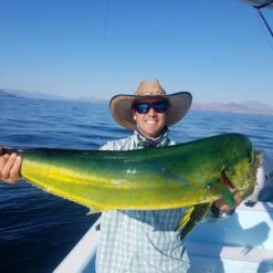 Top 12 Roosterfish & Dorado Flies // Deadly Dozen Assortment -Perfect Fishing Shop 28317592457 1c0f51ecd5 k