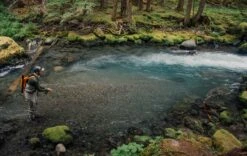 Sage DART - Small Water Fly Rod -Perfect Fishing Shop 35acf459 fb69 4837 86a9 5a133440615f