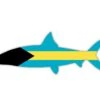 Bahama Bonefish Sticker