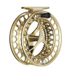 Sage Click Series Fly Reels -Perfect Fishing Shop CLICK Champagne Angle