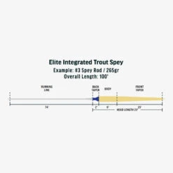 RIO Elite Integrated Trout Spey Line -Perfect Fishing Shop RIOeliteintegratedtroutspeylinediagram