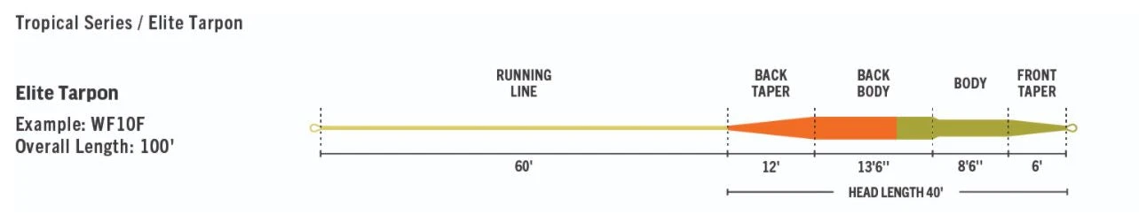 RIO Elite Tarpon Line 5 RIO Elite Tarpon Line - Image 3