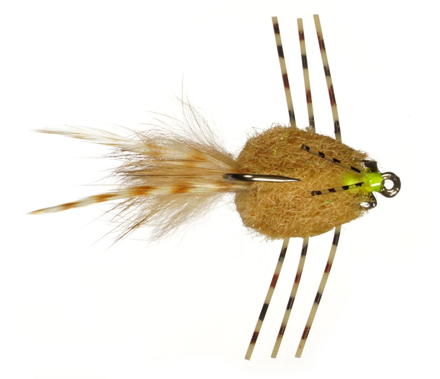 Casa Blanca Raghead Crab By Rainy's // Permit Fly 3 Casa Blanca Raghead Crab By Rainy's // Permit Fly