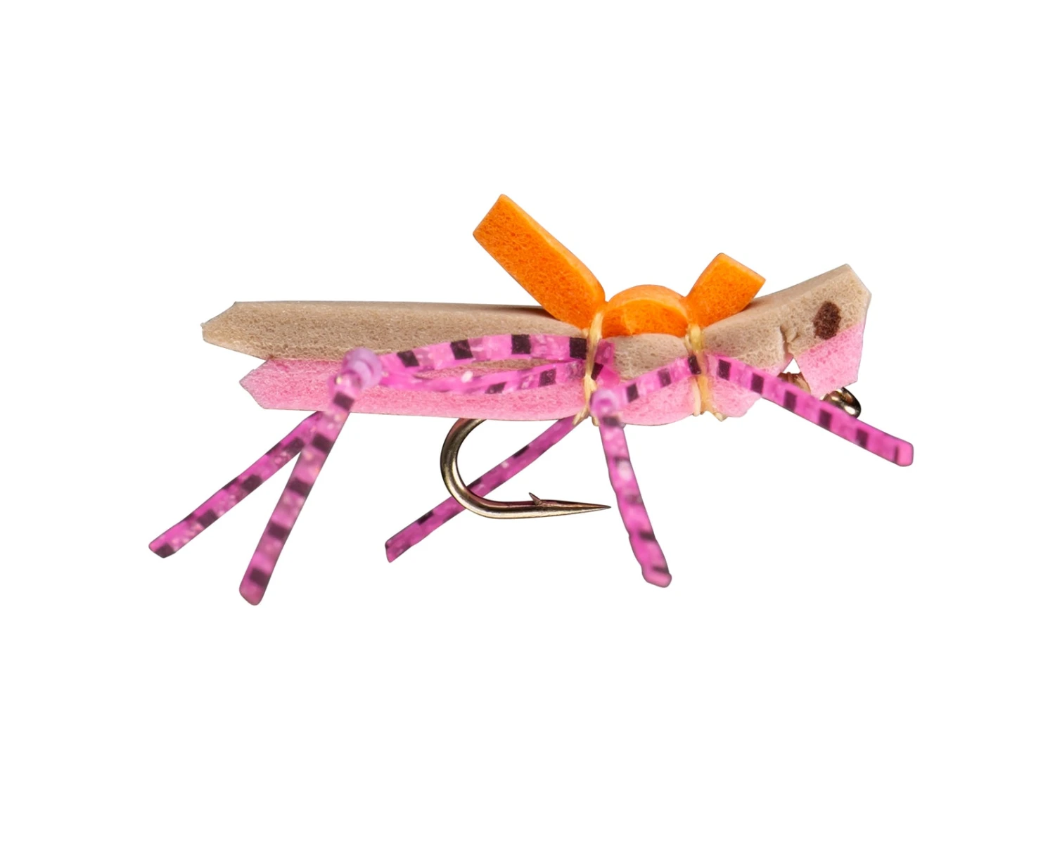 RIO's Morrish Hopper 7 RIO's Morrish Hopper - Image 5