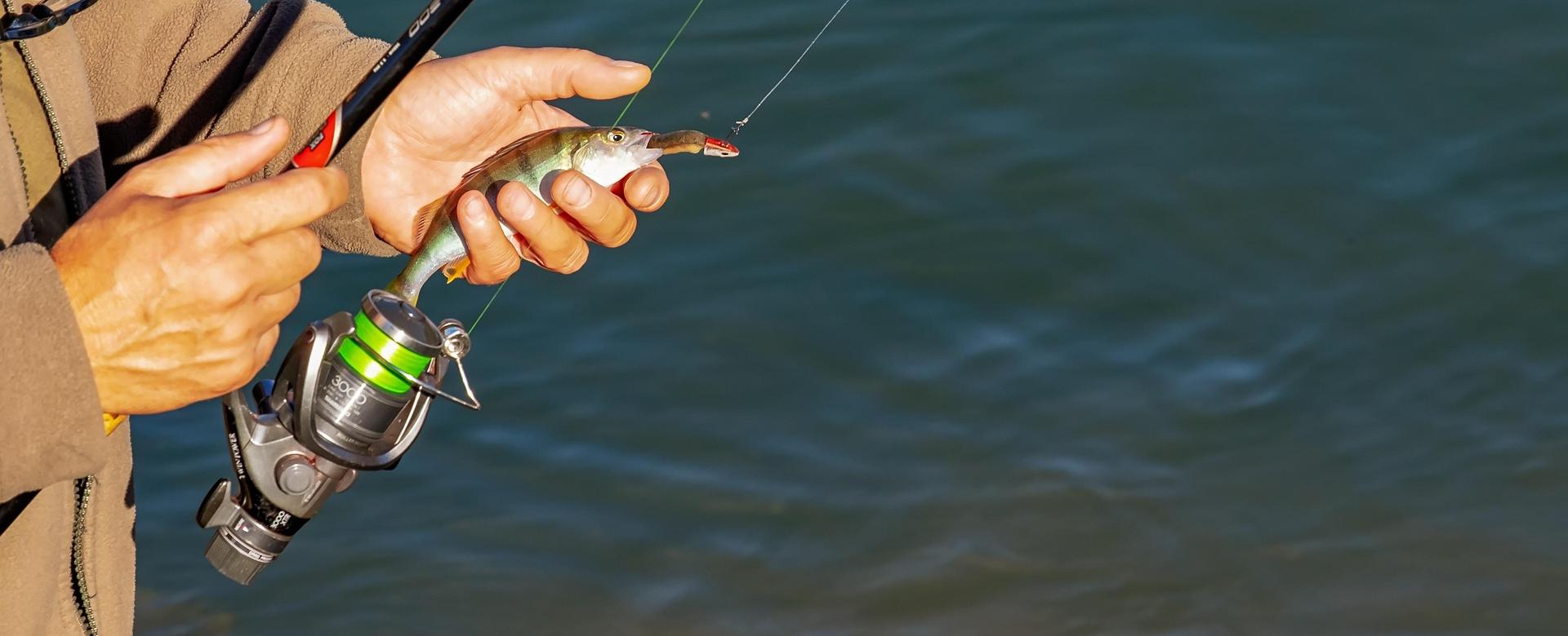 Perfect Fishing Shop -Perfect Fishing Shop angler 3778880 1920